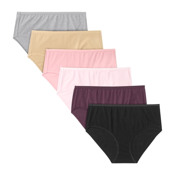 Hanes Womens Hanes Women’s Underwear Briefs Pack, 6-Pack, Cotton-Stretch Brief, Moisture-Wicking