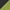 Green, variant on TINHAO Polarized Sunglasses Over Glasses for Women Men, Fit Over Glasses Sunglasses with Square Oversized UV Protection