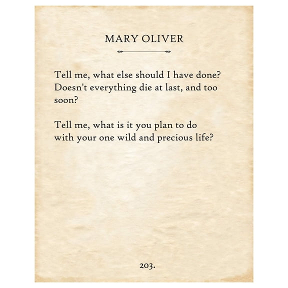 Mary Oliver - Tell Me, What Else Should I Have Done - The Summer Day Poem Art Print, Office and House Decorations poster Literature  Gift for Poetry  Poster