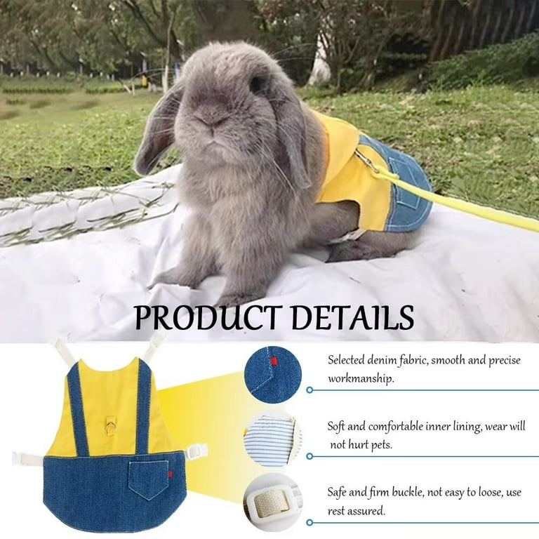Pets at home rabbit harness hotsell