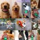 thumbnail image 2 of Dispensador de bolsas para excrementos de perro ZHAOCHENG Soporte para bolsas Incluye 1 rollo de 15 bolsas, 2 of 5