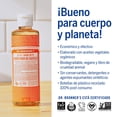 thumbnail image 4 of Dr. Bronner's | Jab&oacute;n de castilla org&aacute;nico l&iacute;quido multiusos, f&oacute;rmula concentrada, suavidad pura y cuidado para piel sensible, sin aceites esenciales natura, 4 of 6