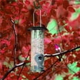 thumbnail image 4 of Bewildely Donut Suet Fat Ball Feeder Caja transparente de metal Resistente a la intemperie Colgante Fat Ball Feeder para pájaro Jardín y Patio Bewildely HA020723-00, 4 of 6