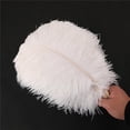 thumbnail image 1 of 1~50pack 30-35cm Large Ostrich Feathers Plume Craft Wedding Party Decorations, 1 of 5