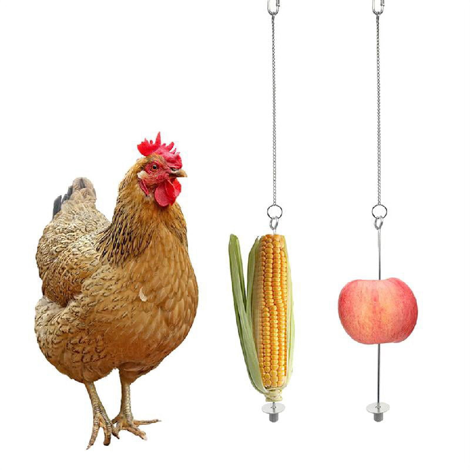 4Pcs Chicken Toys for Hens Large Birds Swing Toys Colorful Ladder and Perch Metal Vegetable Feeders Hanging for Coop