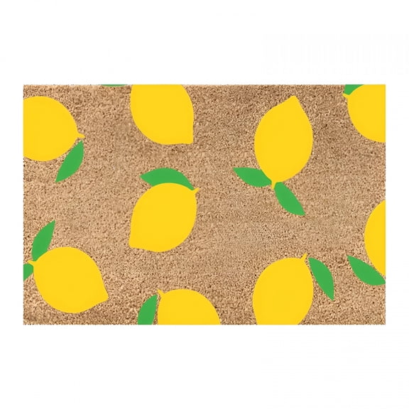 DERONA Welcome Mats for Front Door Summer Theme Doormat Lemon Outdoor Mats for Patio Waterproof 16X24In Summer Door Mats Coir Door Mat Spring Decor Heavy Duty Front Welcome Mats for Home Entrance