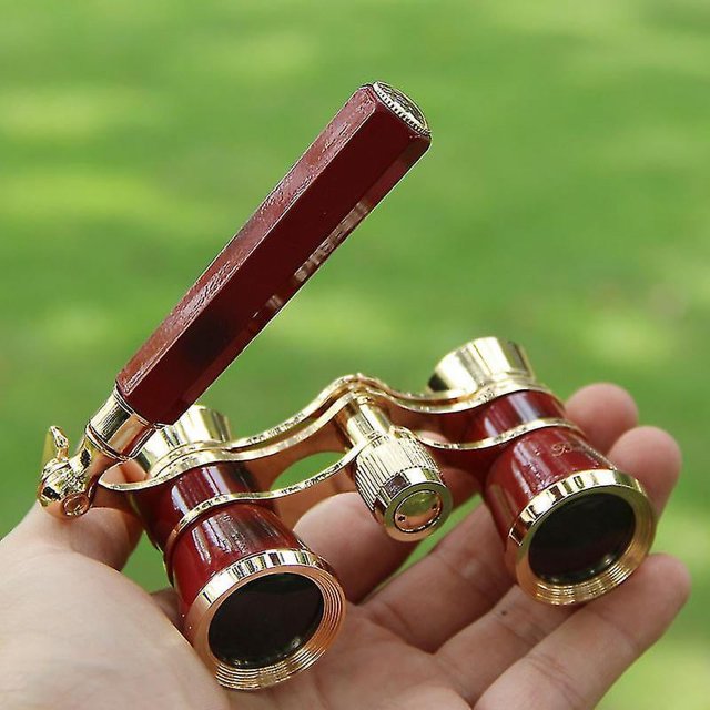 3x25 Gafas Telescopio binocular con mango Kit de accesorios para mujer Telescopio elegante Regalo para mujer y niña Anteojos de ópera dorados