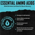 thumbnail image 4 of Animal Juiced Aminos, 6g BCAA/EAA Matrix, Grape Juiced, 30 Servings, 4 of 6