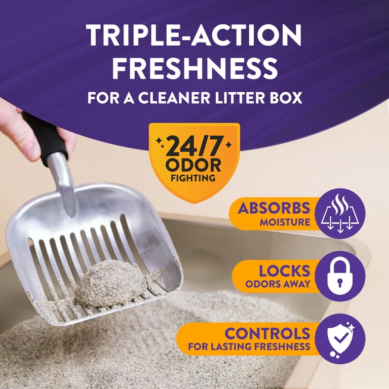 arm and hammer best clumping litter
