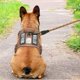 thumbnail image 3 of Arnés táctico para perros Beebiepet Heavy Duty para perros medianos, 3 of 5