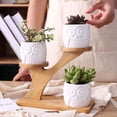 thumbnail image 4 of XISAOK Garden Planter Bamboo Tray Durable Anti Deformed Flowers Plants Pot Holder Tabletop Flowerpot Stand with Screwdrivers, 4 of 17