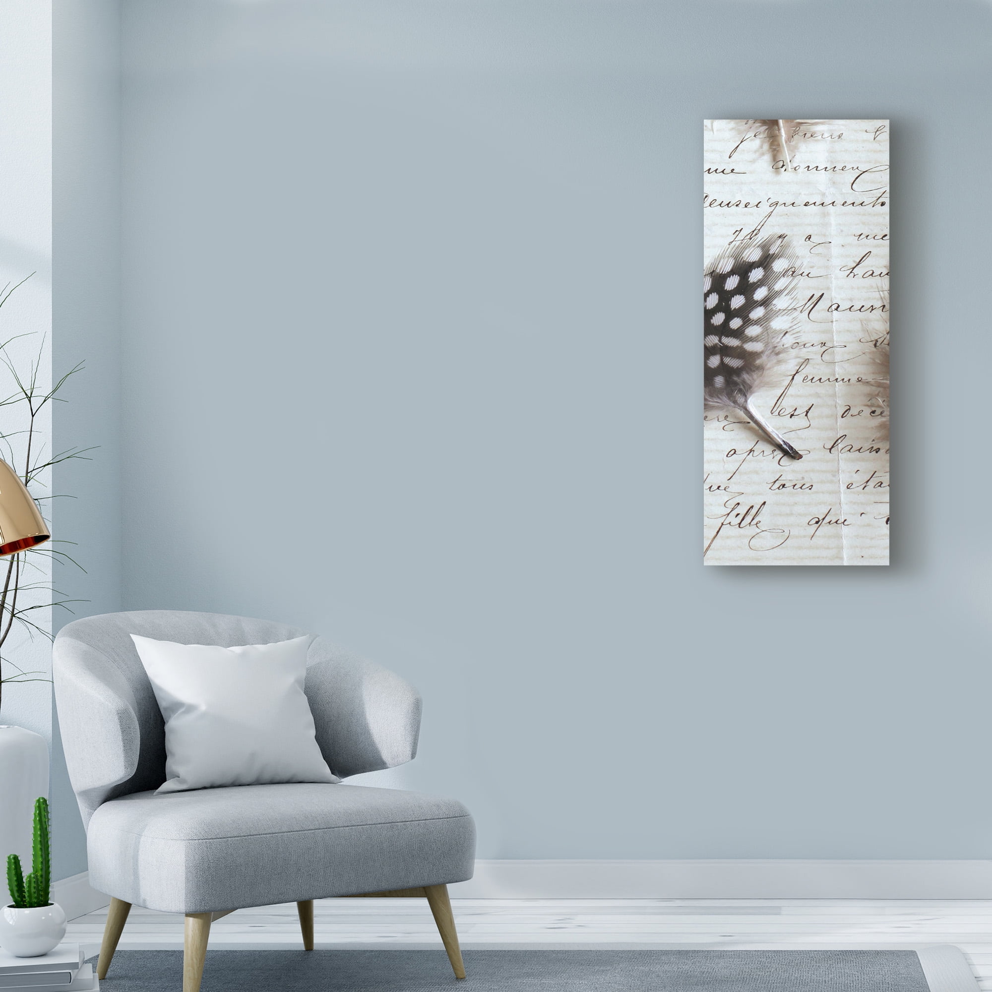 Trademark Fine Art 'Plume Feathers V Crop I' Canvas Art by Sue Schlabach