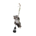 thumbnail image 4 of Solar Light Outdoor Statue Yard Decorative, Artesanía, Tresping de mapaches en la cuerda que colgaba de la figura de animales para el balcón del patio, 4 of 8