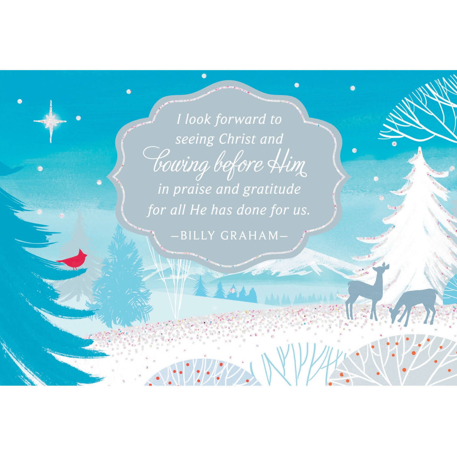 Day Spring Christmas Cards 