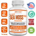 thumbnail image 2 of Simply Potents Seamoss Pills - Organic Seaweed Supplement, Antioxidants, Detox, Fiber, Vitamins, 60 Capsules, 2 of 6