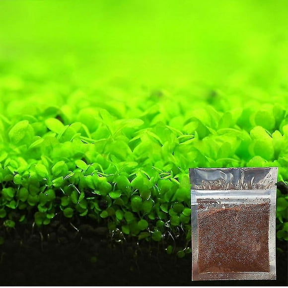 Aquarium Ornament Plant Seeds Fish Tank Landscape Decoration Water Grass Seed Easy To Grow