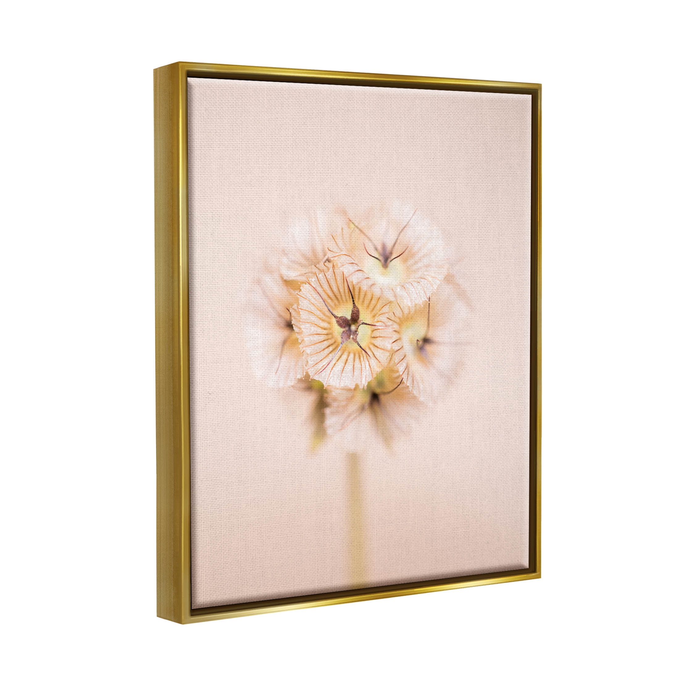 Pastel Pink Floral Sprig Bloom Botanical & Floral Photograph Metallic Gold Framed Art Print Wall Art