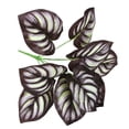 thumbnail image 1 of Artificial Plant Realistic 9-head: Lifelike Fake Tropical Plant Home Decoration, 1 of 10