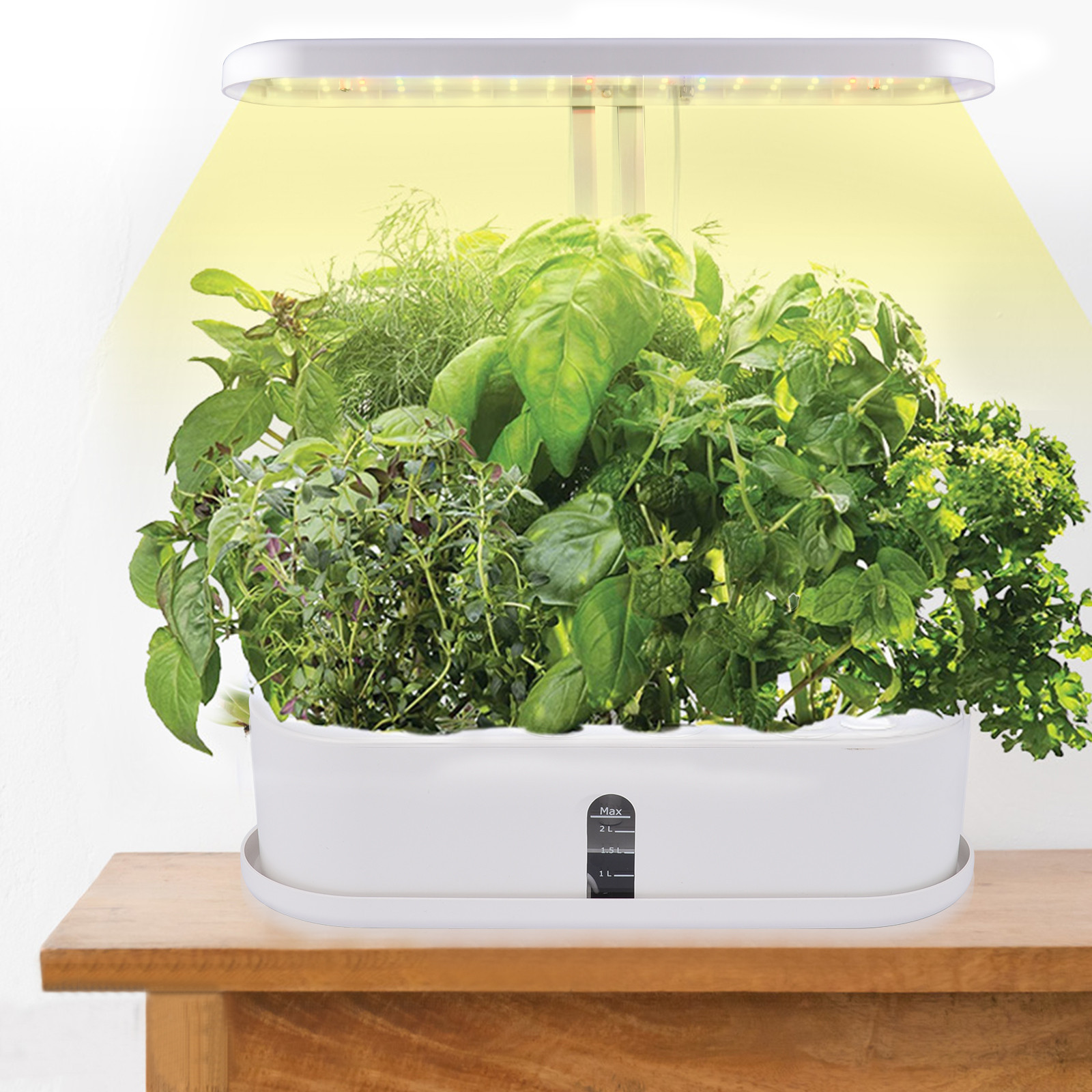 diy indoor vegetable garden kit