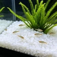 thumbnail image 4 of 200 Aquarium-shaped Street-side Pool Decorations Glowing Ice Cubes And Night Light Stones, 4 of 6