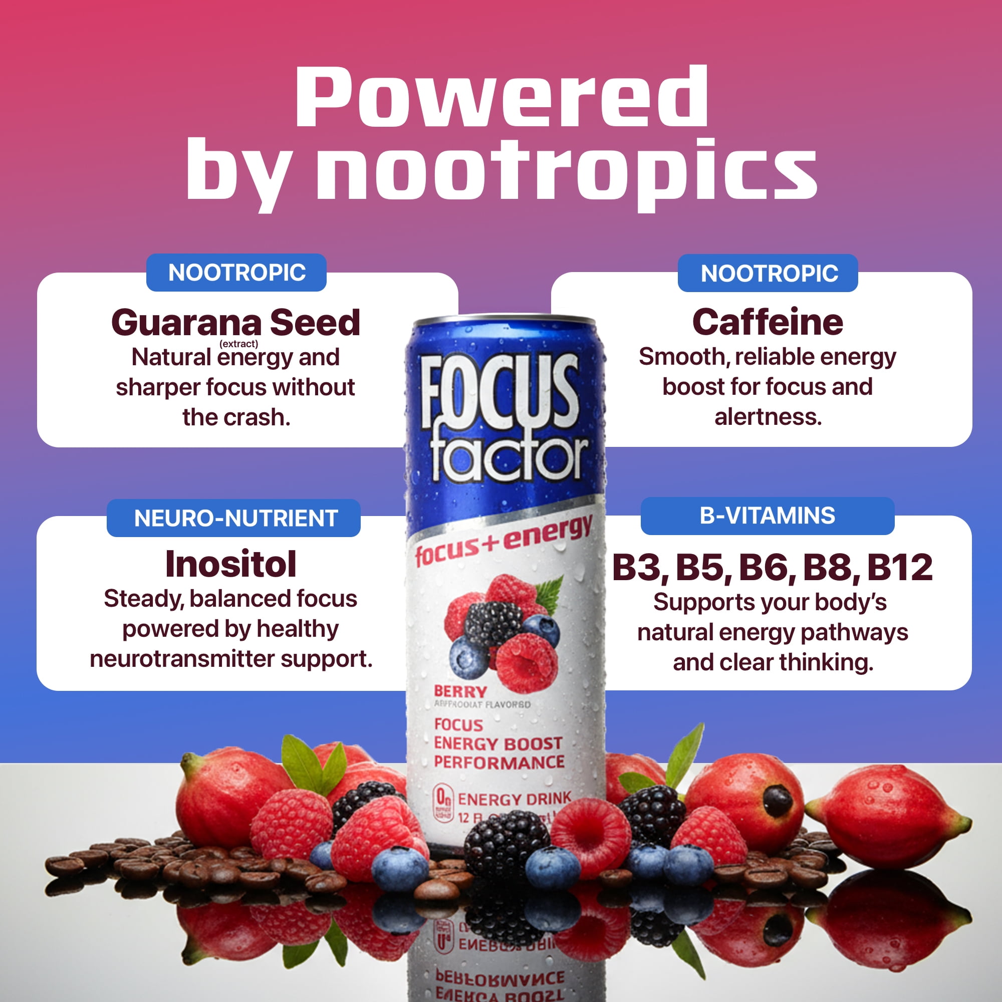 Focus Factor Energy Drink - 12 x 355ml Cans (Berry Flavor) - with Focus + Energy - Sugar Free, Low Calorie with Vitamin B6 & Vitamin B12