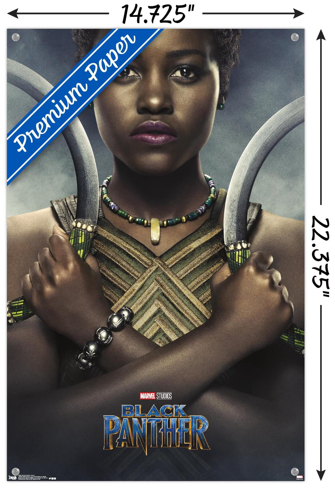 Marvel Cinematic Universe - Black Panther - Nakia One Sheet Wall Poster with Push Pins, 14.725" x 22.375"