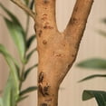 thumbnail image 7 of Kazeila Artificial Olive Tree 6FT Tall Faux Silk Plant for Home Office Decor Indoor Fake Potted Tree with Wood Trunk and Fruits, 7 of 7