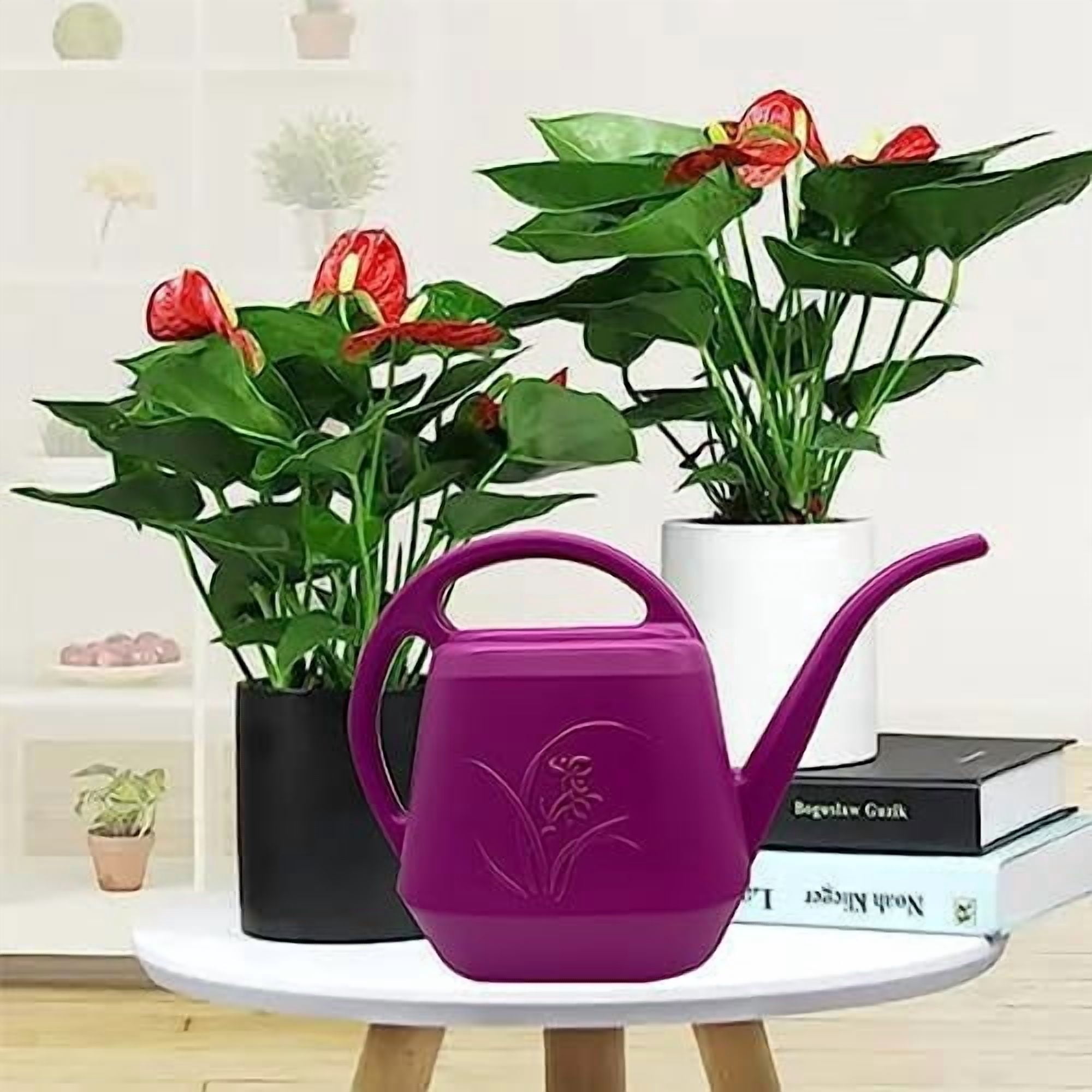 Plant Watering Can - 1 Gallon - Rose Red - with Long Spout for Indoor and Outdoor Plant Garden