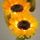 thumbnail image 5 of Ganfancp Ramo de Flores para Regalar En Navidad Arreglo de Girasoles Luminosos Ofertas de La Semana 1*Girasol Luminoso+1*Cable de Carga Usb, 5 of 6