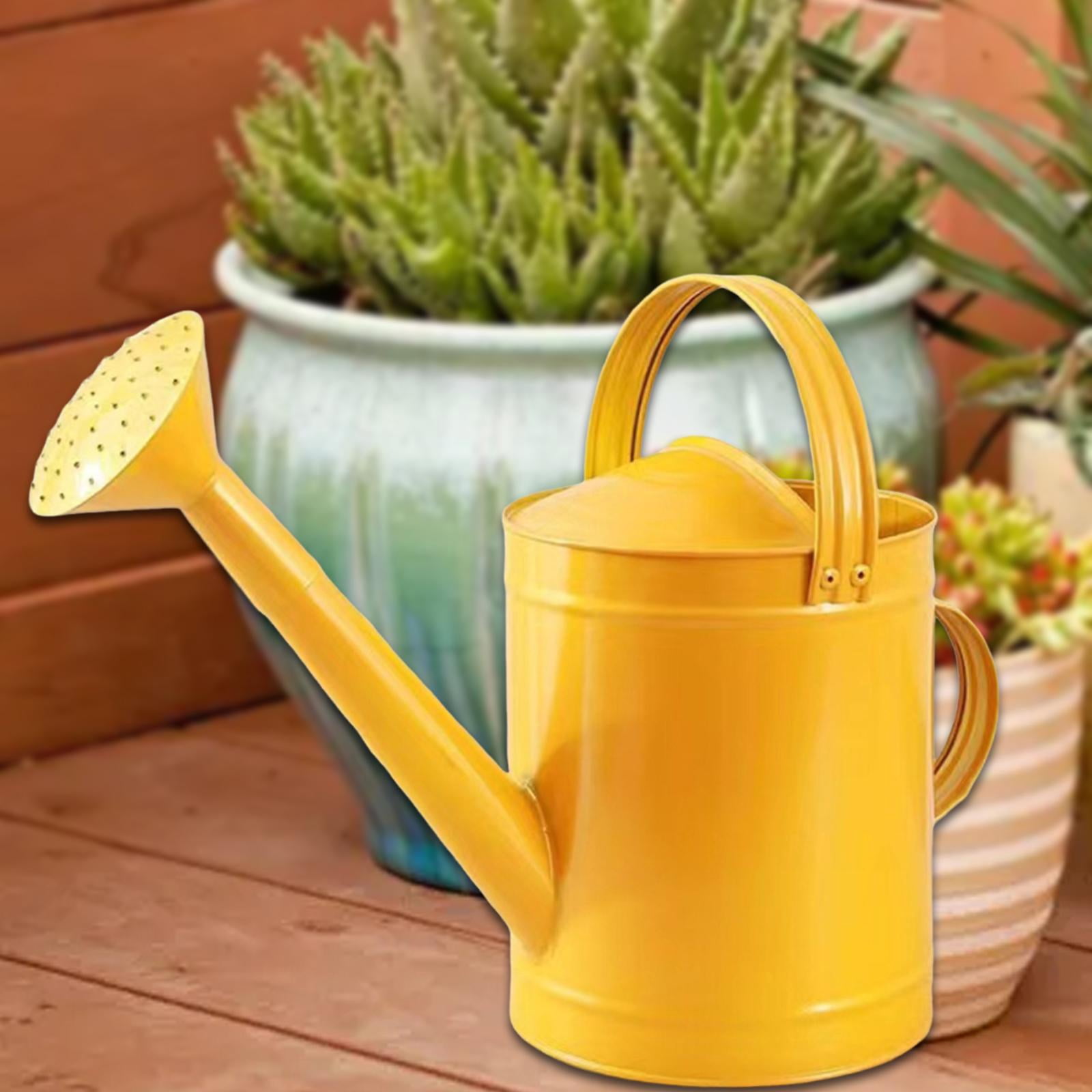 YWMJZEU 4L Watering Can with Handle, Leak, Removable Spout, Garden Tool, Rust-Resistant, golden