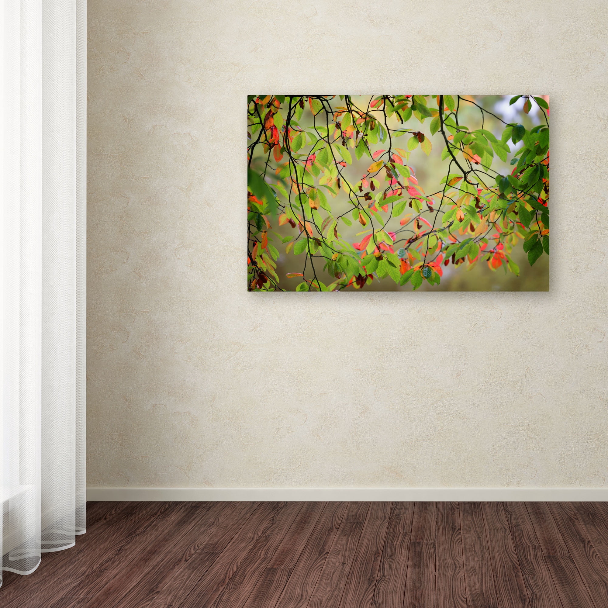 Trademark Fine Art "Leaves in the Wind" Canvas Art by Philippe Sainte-Laudy