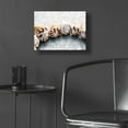 thumbnail image 5 of Epic Art 'Spiral Seashells' by Elena Ray, Acrylic Glass Wall Art, 16"x12", 5 of 8
