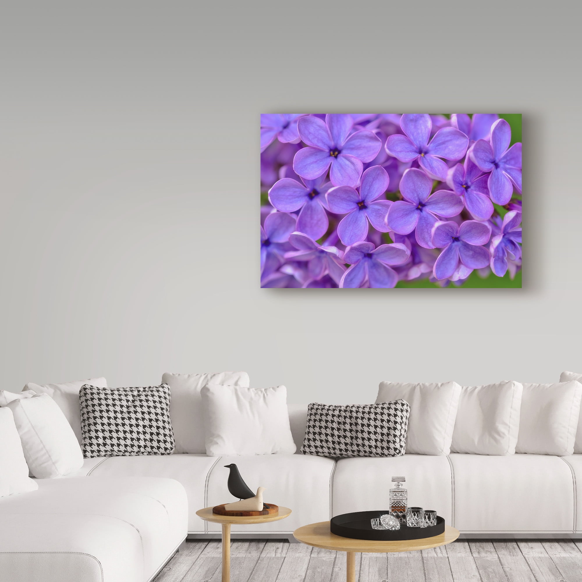 Trademark Fine Art 'Lilac Flower' Canvas Art by Cora Niele