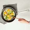 thumbnail image 3 of Demeyere AluPro Ceramic 10-inch Aluminum Nonstick Fry Pan, 3 of 6