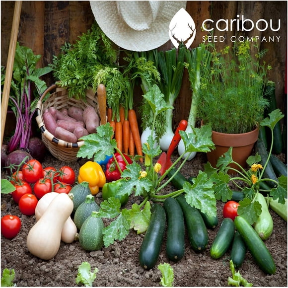 GSDWIUEW Farmer s Harvest by Garden/Seed Kit 25 Seed Packets 15 Vegetables & 10 Herbs) Organic, Made in Canada