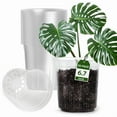 thumbnail image 2 of 1 Gallon Reinforced Clear Nursery Pots with Drainage Hole 10 Packs, 6.7 Inch Transparent Pots Plastic Plant Pot Seedling Planter, 2 of 7