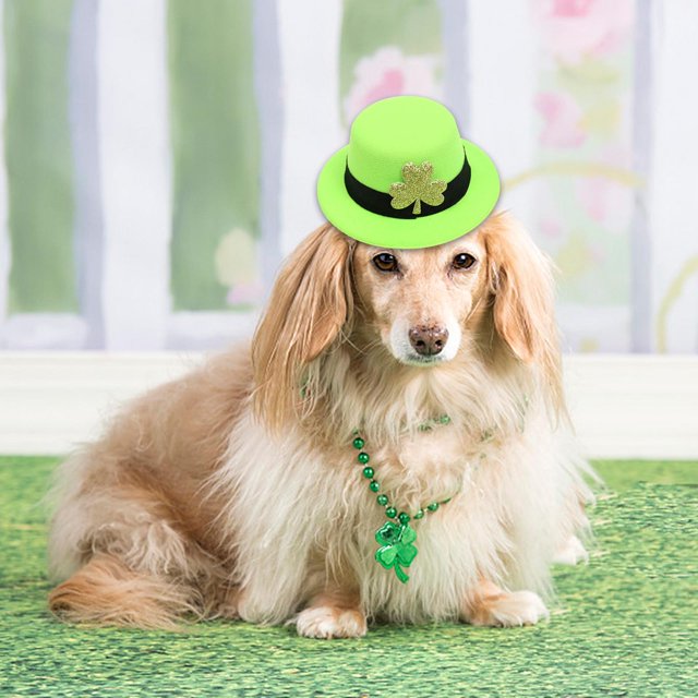 Pinza de pelo Hugo Día de San Patricio Sombrero Decorativos Niñas Niños