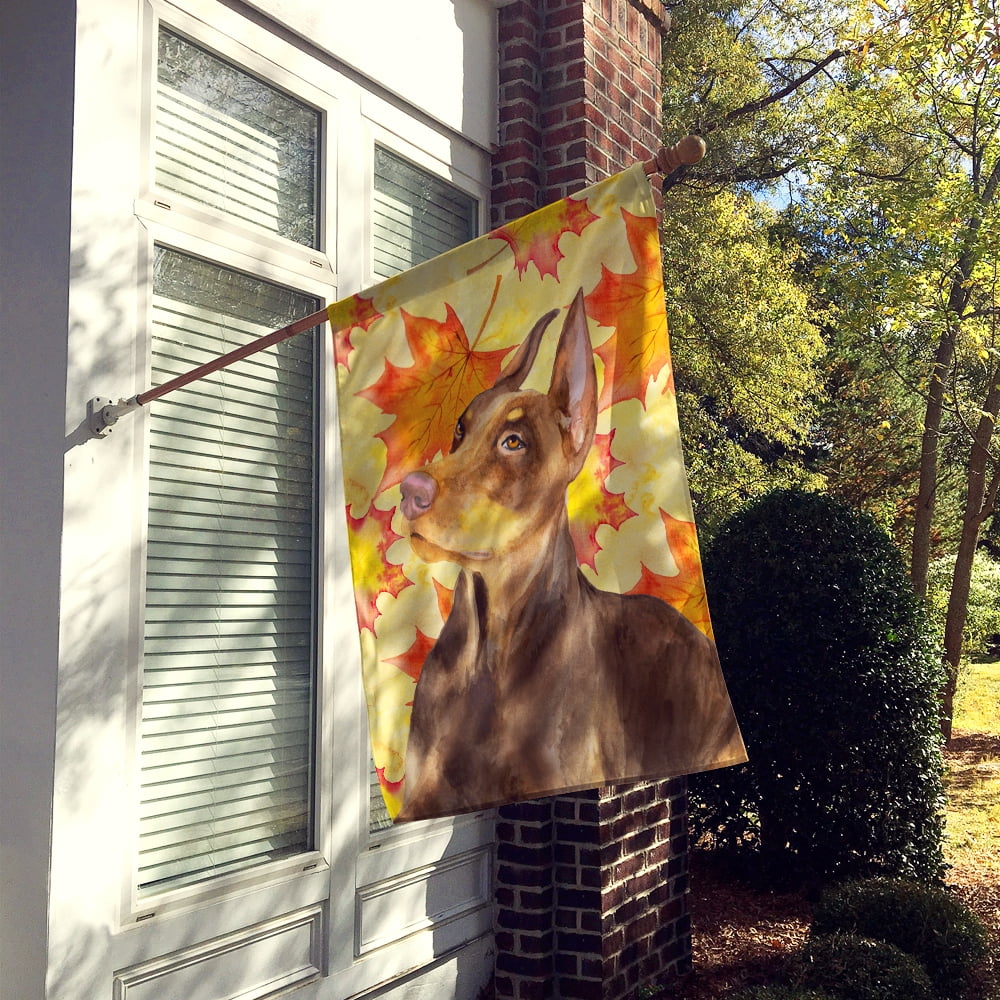 Carolines Treasures BB9970CHF Doberman Pinscher Fall Flag Canvas House Size  Large multicolor