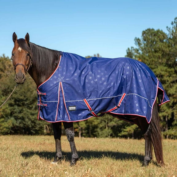 Jeffers Poplar Head Origin 600 Denier Turnout Blanket | 240 Gram Polyfill | Waterproof, Breathable, Horse Blanket for Cold Weather | Navy with Star Print, Adjustable Straps, Fits 72"