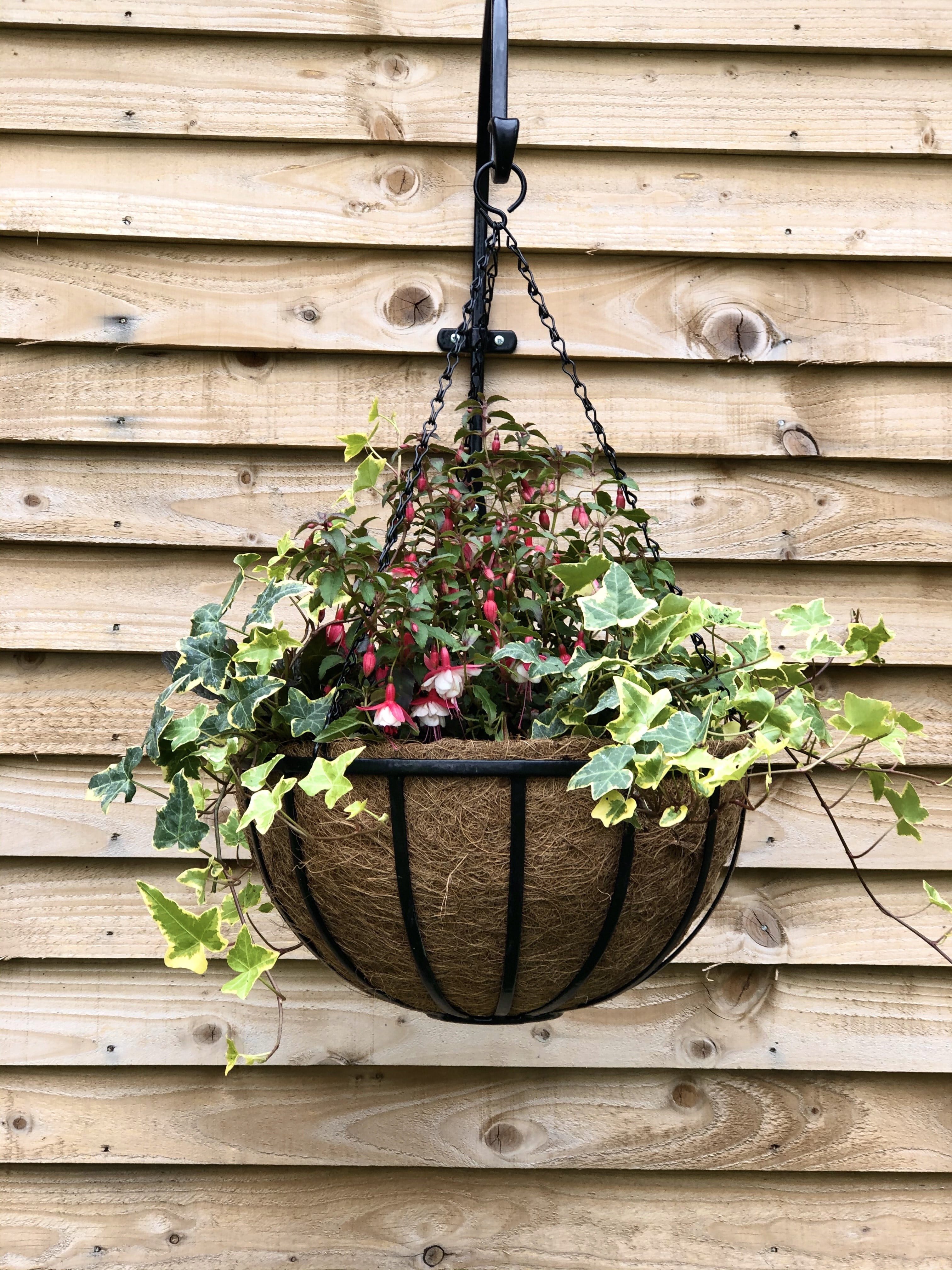 Cambridge Premium 16" Hanging Planters with Coco Liner