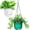 2 Pack(Emerald+Clear), variant on 2 Pack Self Watering Hanging Planters Indoor Flower Pots, 6.5 Inch Outdoor Hanging Basket, Plant Hanger with Hooks Drainage Holes for Garden Home