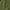 Military Green, variant on Proud To Be German American Shirt Germany America Patriotic Shirt Germany USA Shirt German Gift