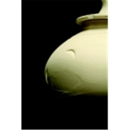 Amaco Low Fire Moist Multi-Purpose Earthenware Clay - 25 Lbs. - White Art 25