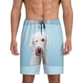 thumbnail image 2 of Rocae Puppy Licks Nose for Men's Soft Sleep Pajama Shorts, Waistband and Pockets, 2 of 9