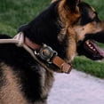thumbnail image 3 of Two-Color Metal Buckle Waterproof Airtag Dog Collar Case with Screws and Wrench for Pet Tracking, 3 of 8