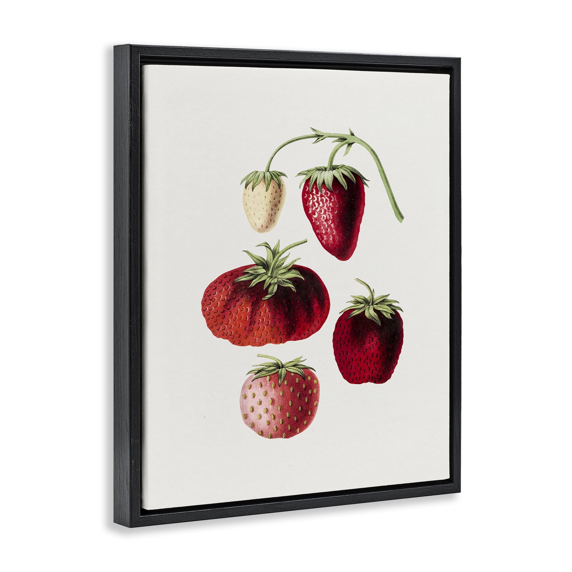Stupell Industries Natural Berries Study Food & Beverage Painting Black Floater Framed Art Print Wall Art, 25 x 31