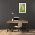 thumbnail image 3 of Paulson, Don 23x32 White Modern Wood Framed Museum Art Print Titled - USA, Washington State Alder tree abstract, 3 of 4