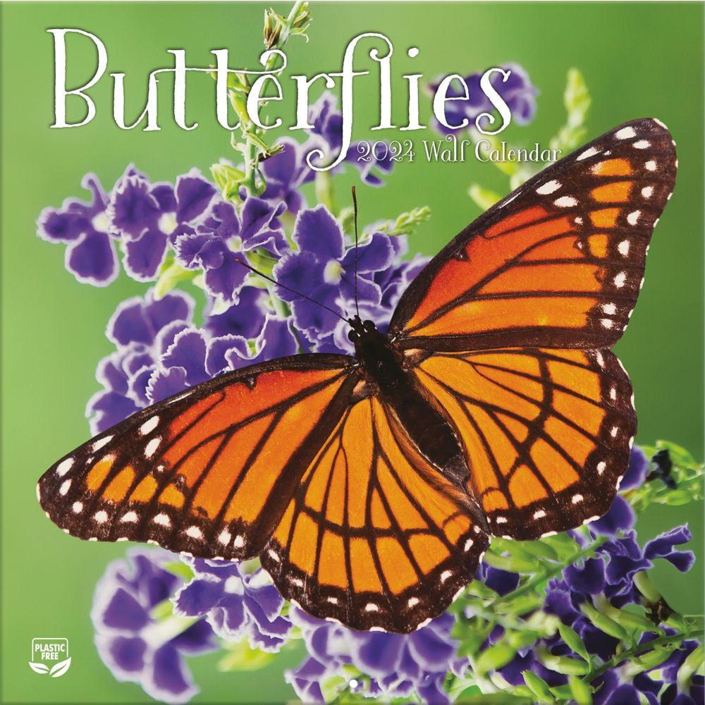 Turner Licensing, Butterflies 2024 Wall Calendar - Walmart.com