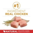 thumbnail image 4 of Purina ONE Chicken & Rice Formula, Dry Dog Food 14kg, 4 of 8