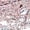 Pink, variant on Women Glitter Hollow Mesh Jelly Flat Shoes, Slip On Closed Toe Breathable Hollow Out PVC Casual Walking Flats
